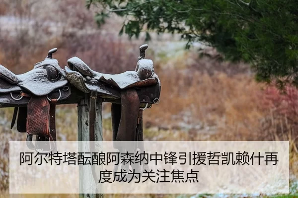 阿尔特塔酝酿阿森纳中锋引援哲凯赖什再度成为关注焦点