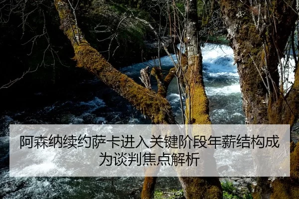 阿森纳续约萨卡进入关键阶段年薪结构成为谈判焦点解析