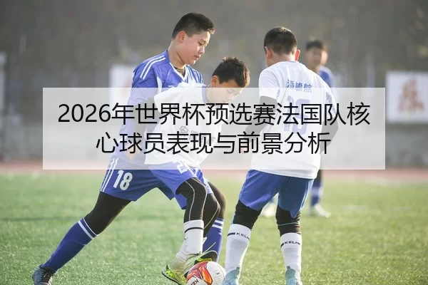 2026年世界杯预选赛法国队核心球员表现与前景分析