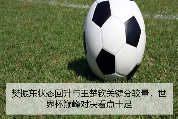 樊振东状态回升与王楚钦关键分较量，世界杯巅峰对决看点十足